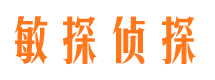 大柴旦敏探私家侦探公司